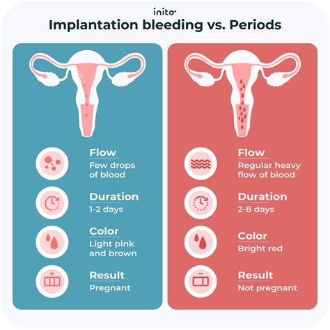 Luteal Phase Discharge: What It’s Telling You - Inito
