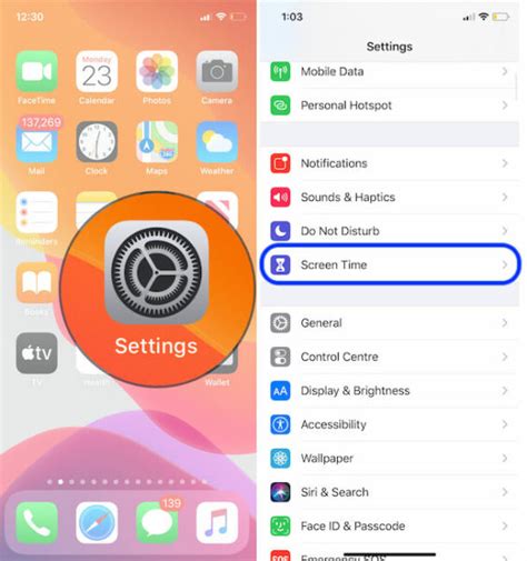 Image result for Settings Screen App Store