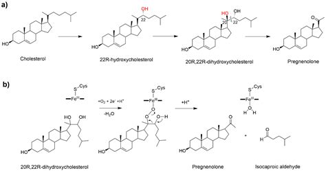 The Catalytic Mechanism of Steroidogenic Cytochromes P450 from All-Atom Simulations: Entwinement ...