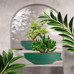 Lasaki Camry deep Jungle Set of 2 Ceramic Pots for Indoor Plants ...