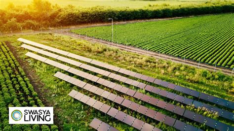Farmland Development: Turning Empty Fields into Thriving Opportunities ...