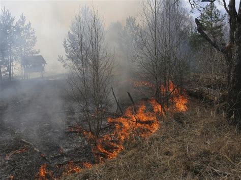 Imágenes en Chernobyl: cerca a residuos radiactivos, videos | Accidente ...