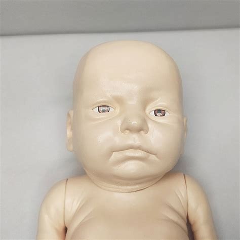 Newborn Baby Model for Biological Labs - Educational Tool | - Medansh