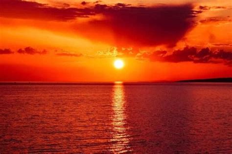 Hottest Colour Trend of Fall 2020: Sunset Hues | Grazia India