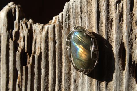 Primitive Nature 的图像结果