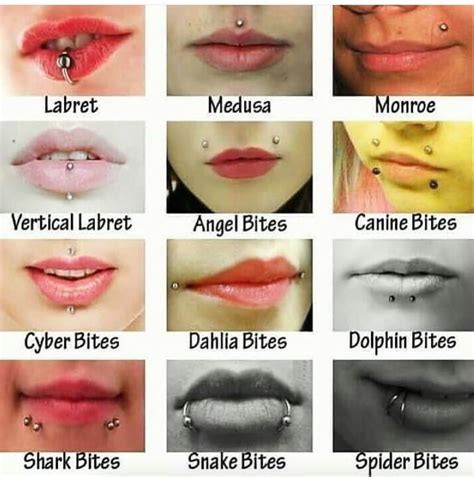 Which of these do you have? 💎 What are you getting next?! 🤘 #Punktured ...