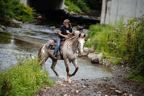 Horseback Riding Near Philadelphia - Group Trail Rides
