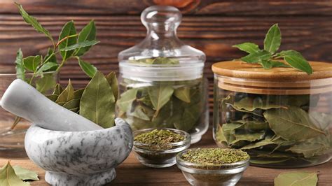 The Ancestral Restorative Properties of Bay Leaves - OMTimes Magazine