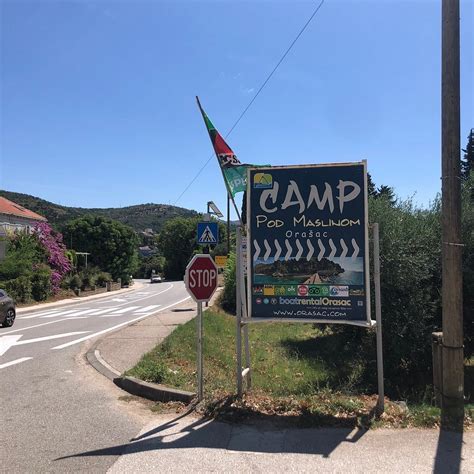 CAMPING POD MASLINOM (Orasac) - Campground Reviews & Photos - Tripadvisor