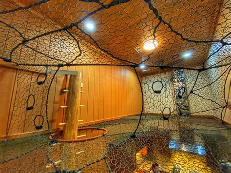 Image result for How to Bilde a Tree Nete