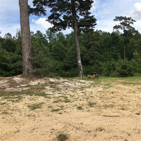 Magnolia Branch Wildlife Reserve RV/Tent Camping | The Dyrt