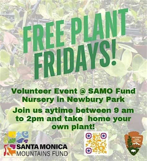 FREE PLANT FRIDAYS! - Native Plant Nursery Volunteering, Car Park for ...