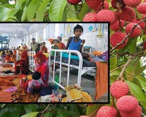 क्या है चमकी बुख़ार की असली वजह और कैसे करें बचाव?