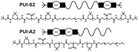 Sequence of Polyurethane Ionomers Determinative for Core Structure of ...