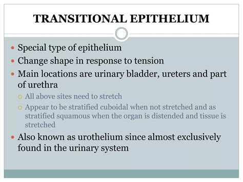 Basic Tissues 1.pptx