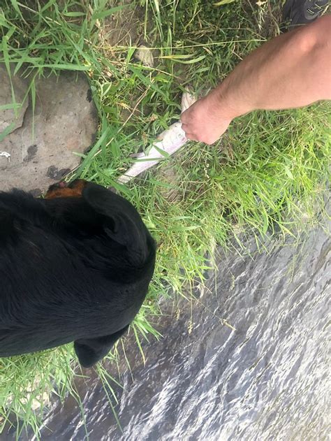 X DIAMOND & MLY RANCH (Springerville) - Hotel Reviews & Photos ...