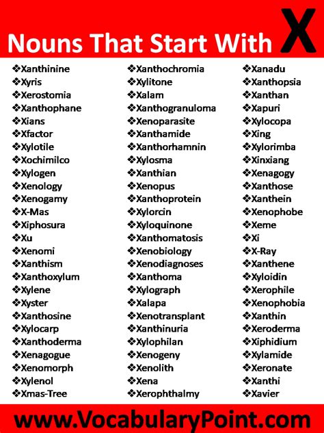 Nouns That Start With X - Vocabulary Point
