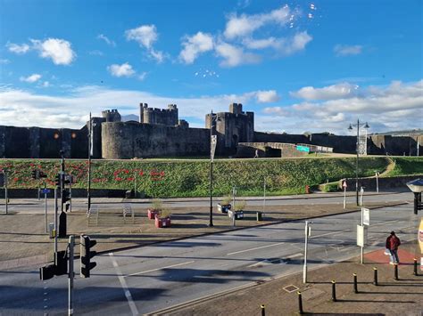 David Attenborough/ natural world themed Quiz! , Castle Street ...