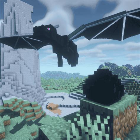 Image result for Minecraft Forge Dragon Mods Java
