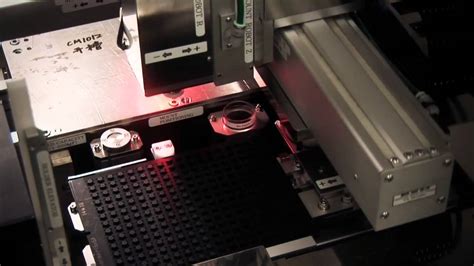 Image result for Deep Sen Lsithembiso