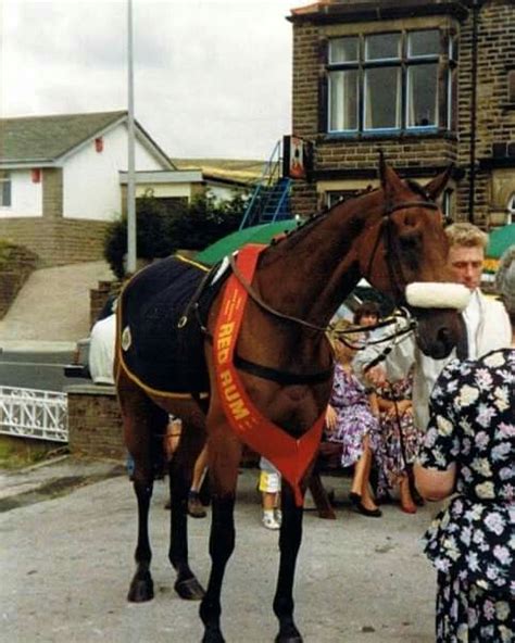 racehorse rummy apk v3.8.3