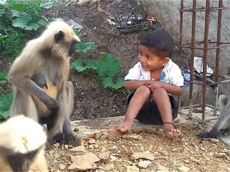 Mating Monkeys And Humans
