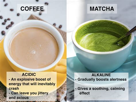 Is Green Tea Alkaline Or Acid? Discover the Surprising Truth - Home and ...