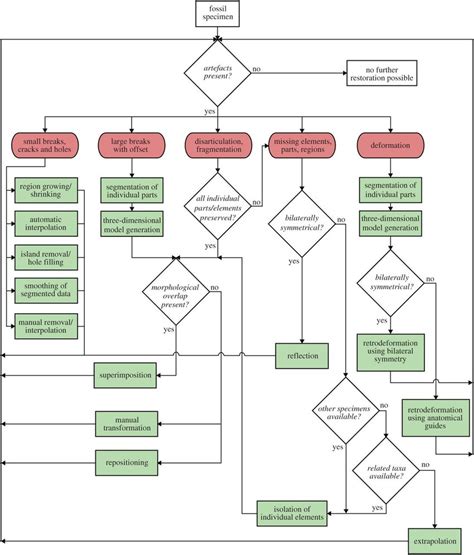 Image result for Restorative Division Flowchart