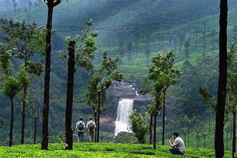 Valparai, Tamil Nadu – Entry Fee, Timings, Best Time to Visit | FunYatra