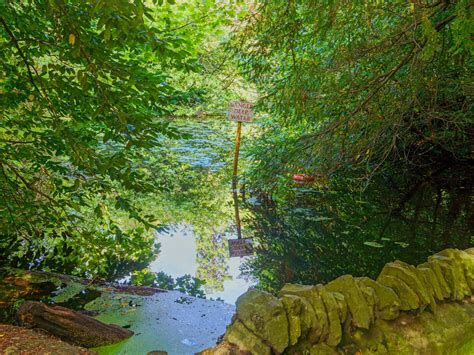 EXPLORING THE WATER FEATURES IN BUSHY PARK - DUCK POND PLUS A LAKE AND BRIDGES - HEADLESS SOUTH ...