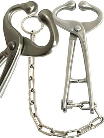 New Bull Cow Nose Lead with Chain Show Cattle Eartag Vaccinator ...