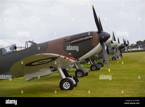 Image result for Spitfire Color Schemes