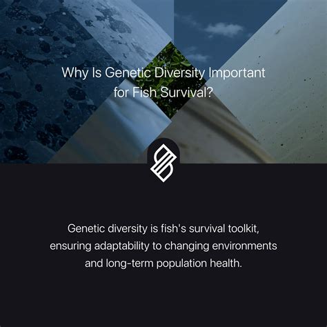 Genetic Diversity Loss → Term