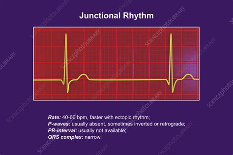 Image result for Math Activity On Topic Representing Function Machine Learning