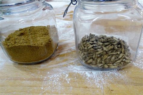 Image result for Insect Removal From Humans