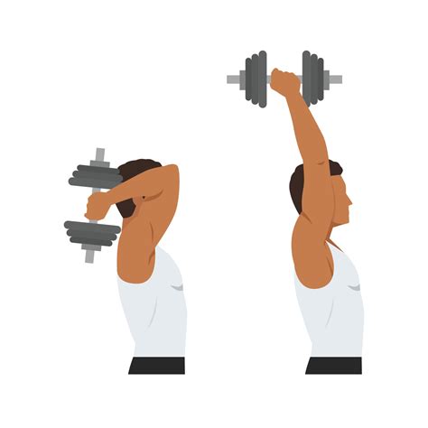 Man doing Dumbbell overhead triceps extension exercise. Flat vector ...