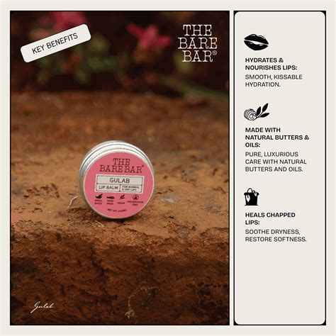 Lip Care: Buy Gulab Lip Balm Online – THE BARE BAR