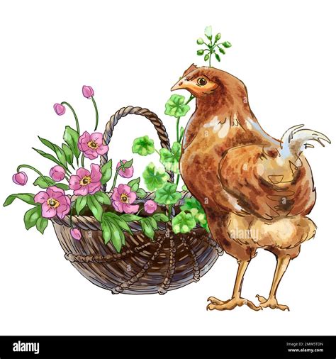 Color illustration Farm with chickens. High quality illustration Stock Photo - Alamy
