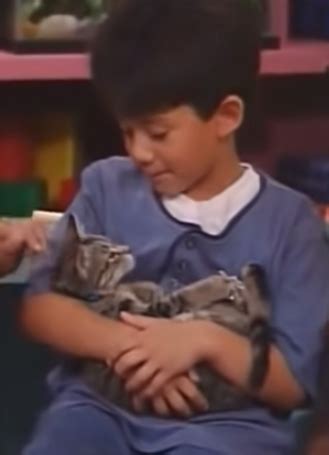 Barney Zoo Tiger 的图像结果