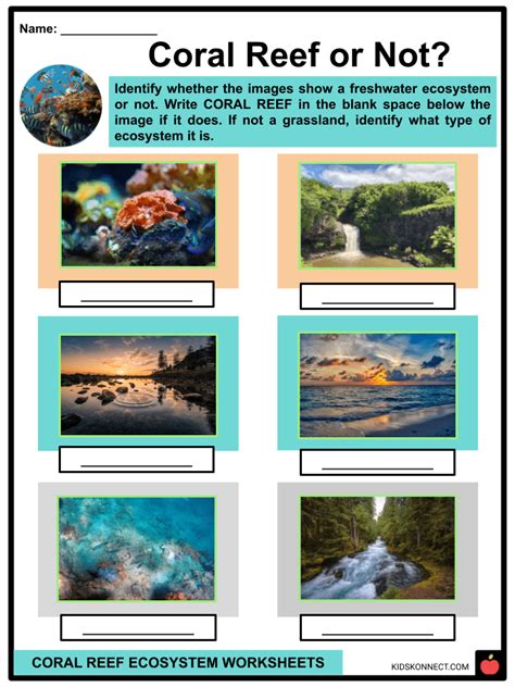 Image result for Python Code of Pattern Lock
