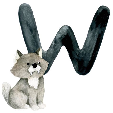 desenho em aquarela. cartão educacional com letra w, alfabeto inglês ...