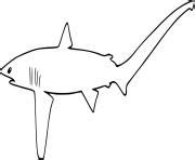 Shark Evolution Script 的图像结果