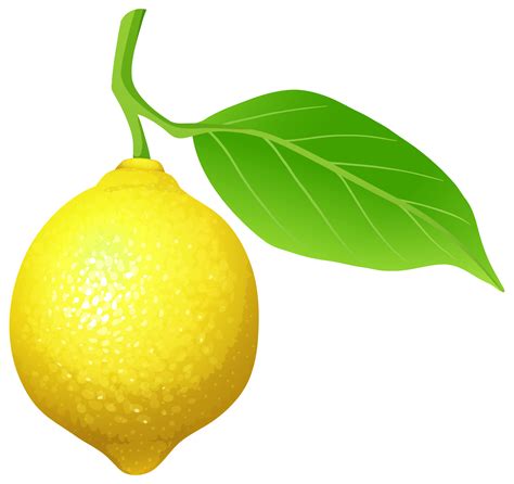 Lemon PNG Clip Art