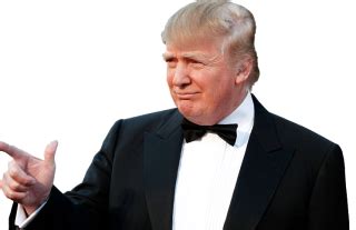 Donald Trump PNG, Donald Trump Transparent Background - FreeIconsPNG