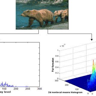 Local Means 的图像结果