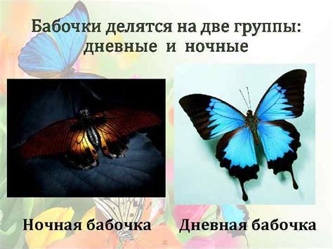 Проект БАБОЧКИ Выполнила ученица 2 К класса ФИО