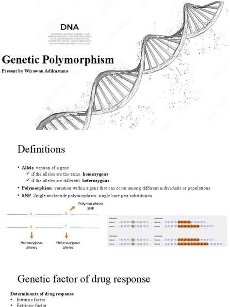 Image result for Genetic Polymorphism