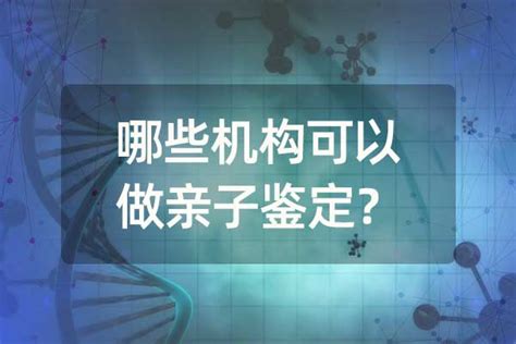 办理司法亲子鉴定需要提交的材料有哪些?-广东DNA亲子鉴定中心