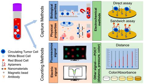 Electrochemical Detection and Point-of-Care Testing for Circulating ...