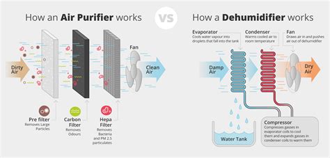 Dehumidifiers vs. Air Purifiers: What You Need to Know - dehumidifier ...